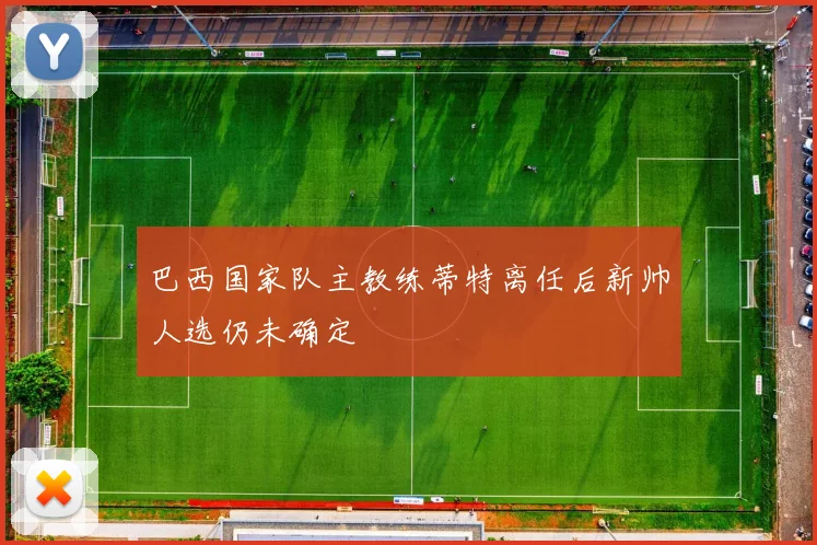 巴西国家队主教练蒂特离任后新帅人选仍未确定