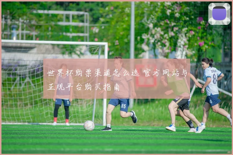 世界杯购票渠道怎么选 官方网站与正规平台购买指南