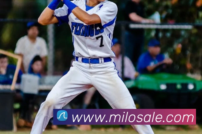 8868体育官网登录方法平台生态图